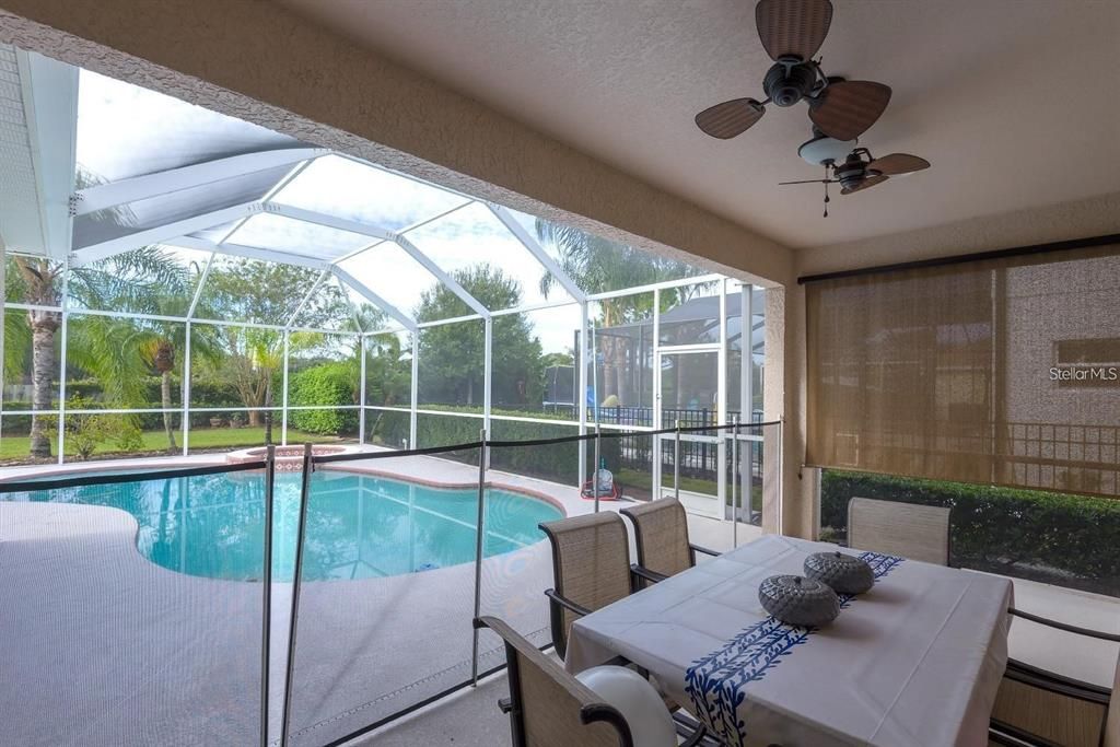 Glass Ceilings, Interior, Pool, Sun Room