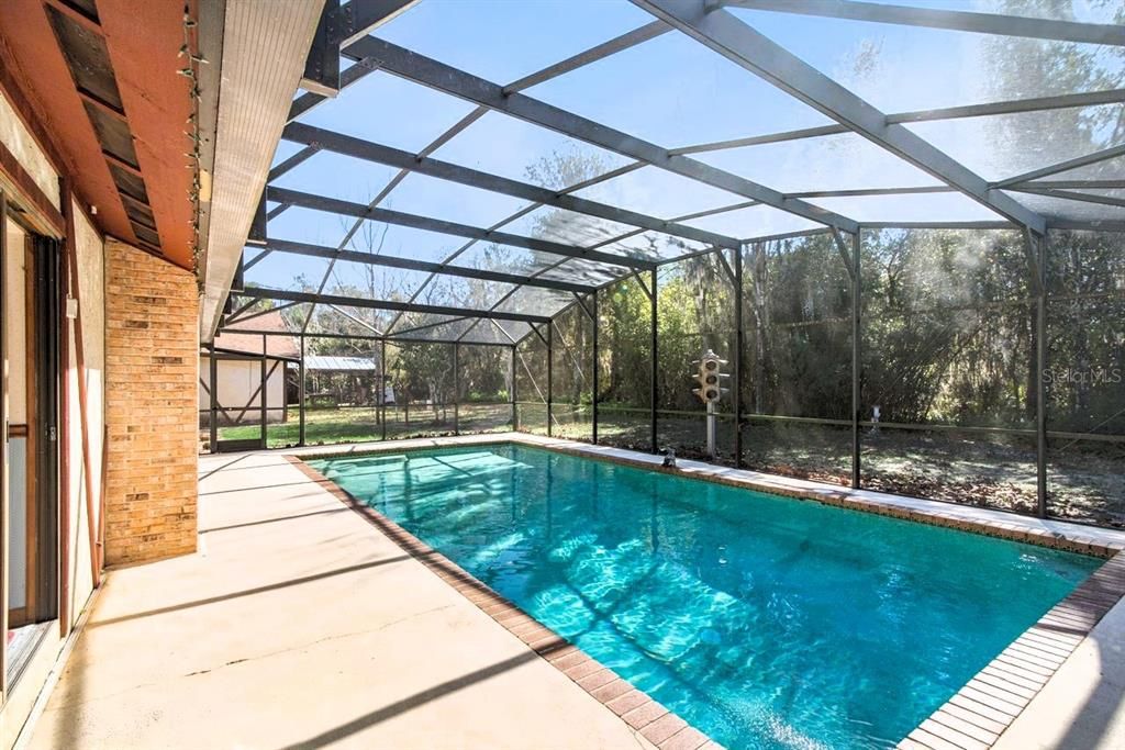 Glass Ceilings, Interior, Pool, Sun Room