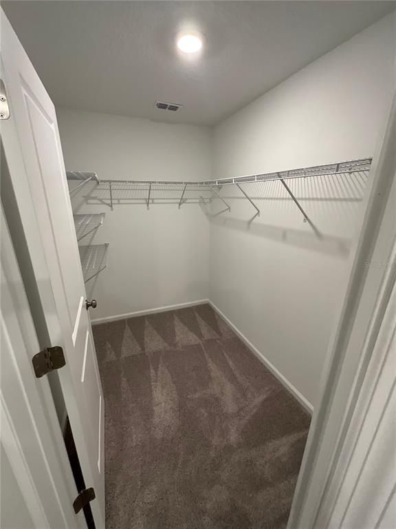 Interior, Recessed Lighting, Walk-in Closets