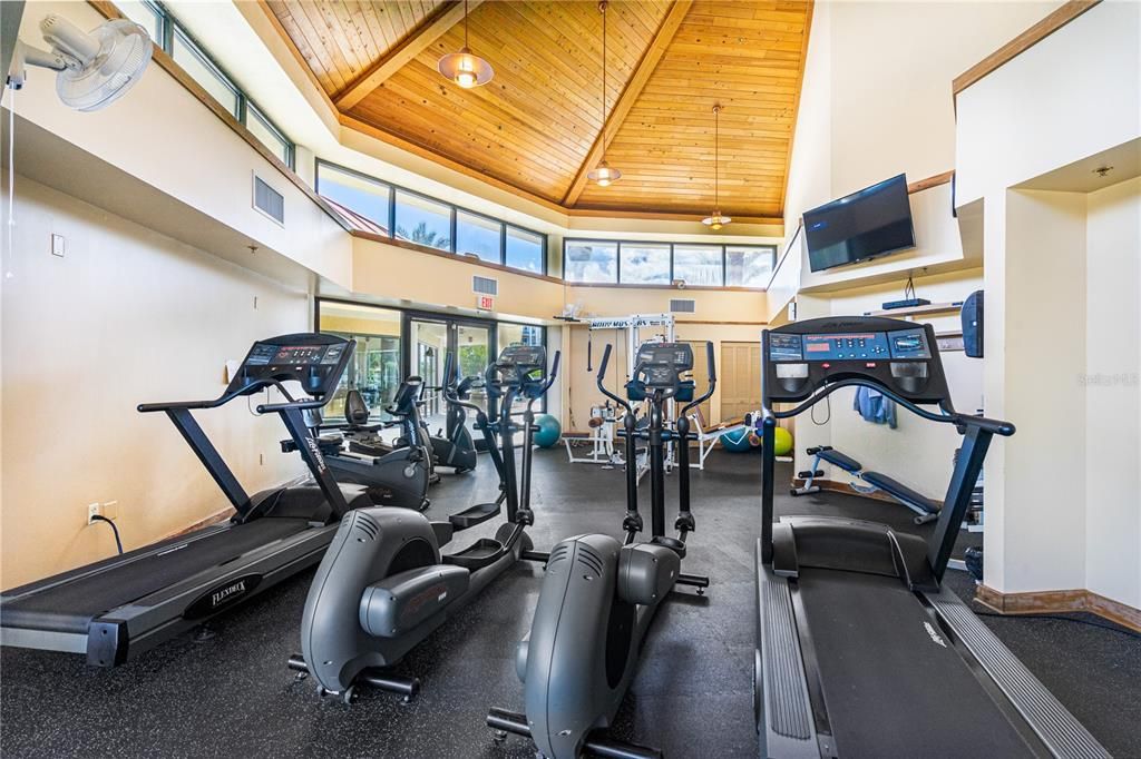 Fitness Equipment, Gym, Interior, Wooden Ceilings