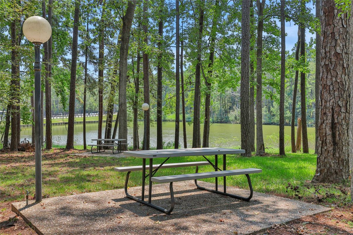 Backyard, Exterior, Water