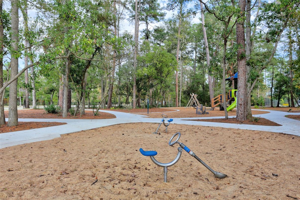 Backyard, Exterior, Playground