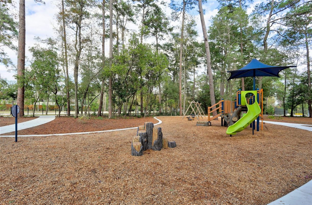 Backyard, Exterior, Playground