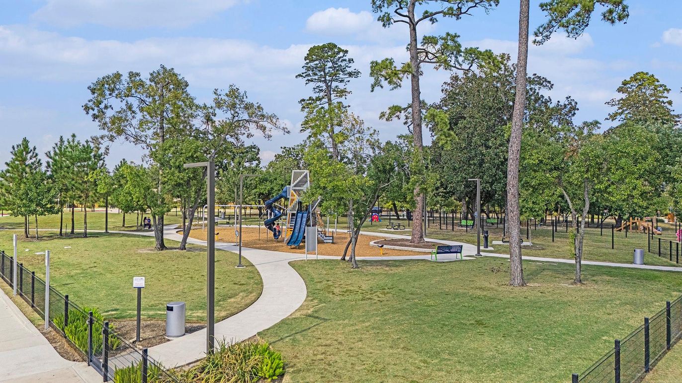 Backyard, Exterior, Playground