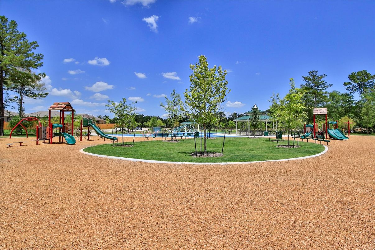 Backyard, Exterior, Playground