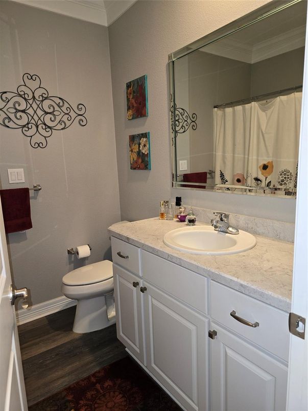 Bathroom, Interior, Wood Texture Flooring