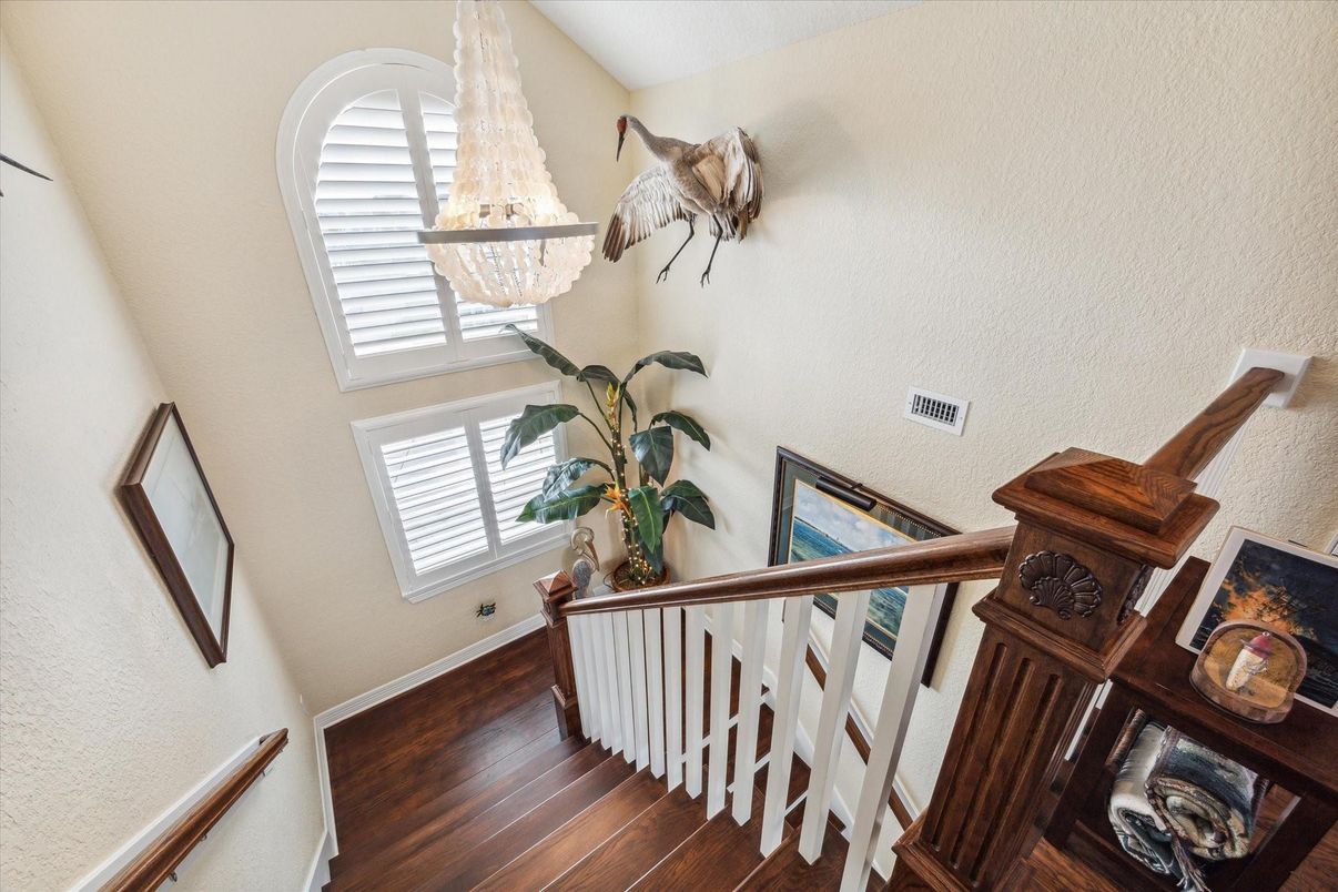 Chandelier, Interior, Wood Texture Flooring