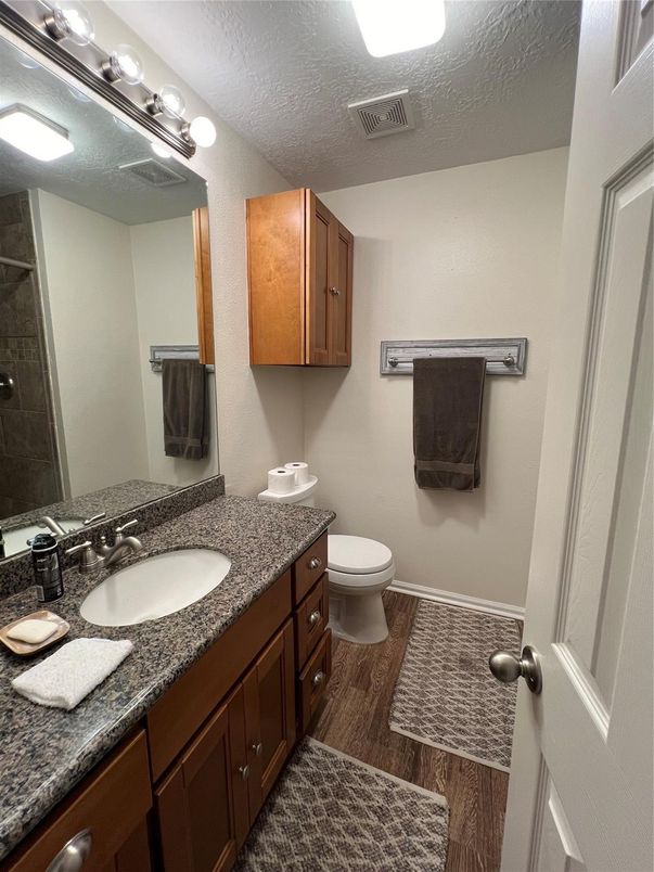 Bathroom, Dual Sink Vanities, Interior, Wood Texture Flooring
