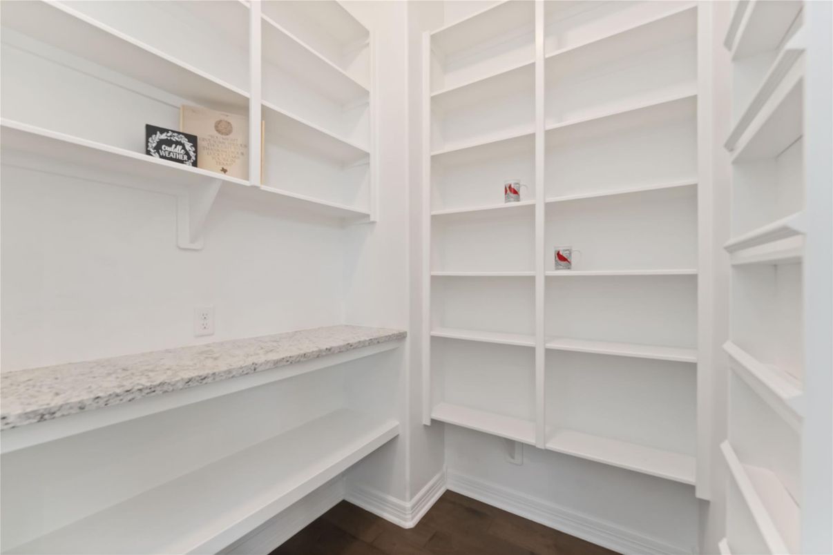 Interior, Walk-in Closets, Wood Texture Flooring