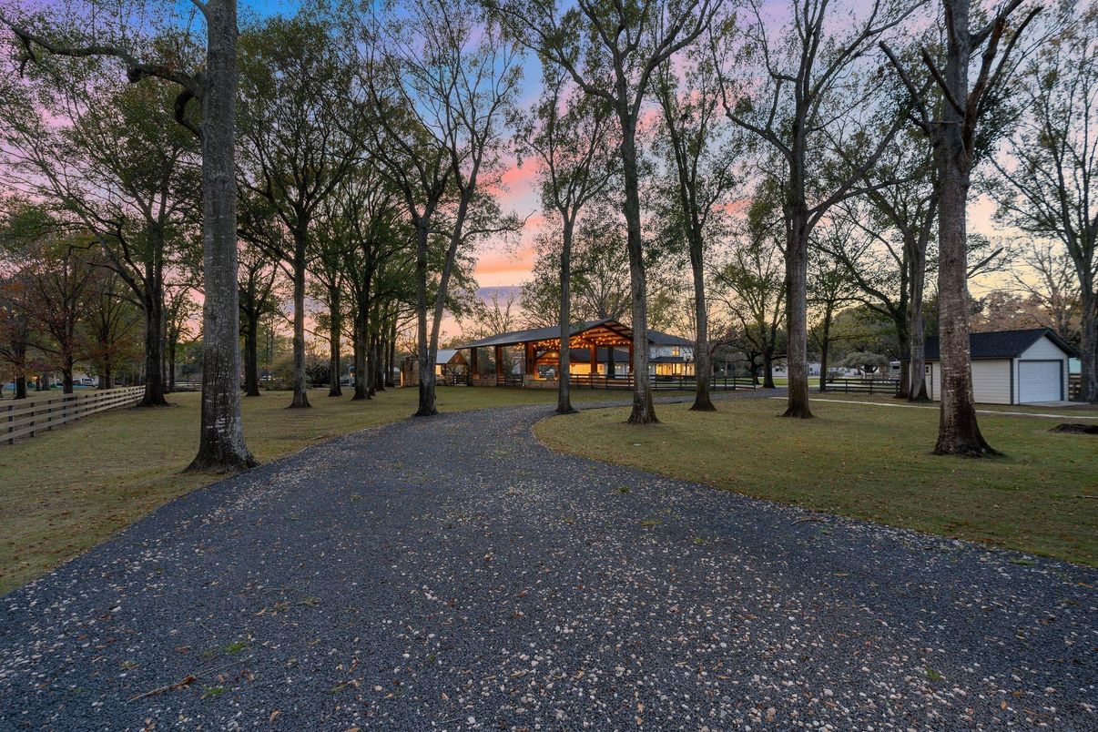 Backyard, Detached Garage, Exterior