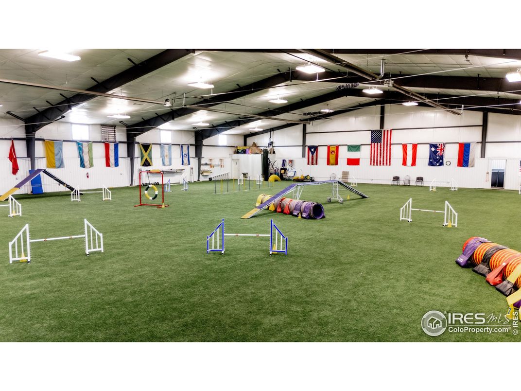 Backyard, Interior, Recessed Lighting