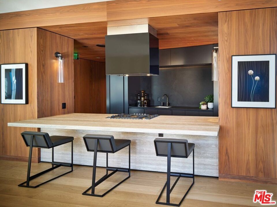 Interior, Kitchen, Wood Texture Flooring, Wooden Walls