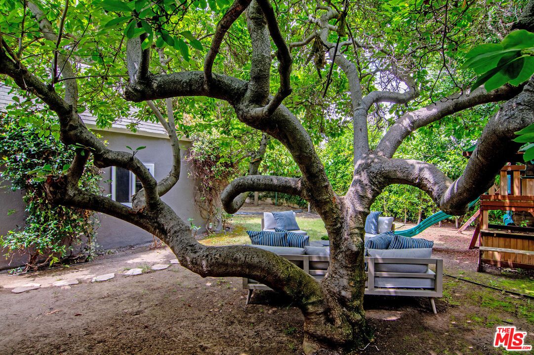 Backyard, Exterior, Playground