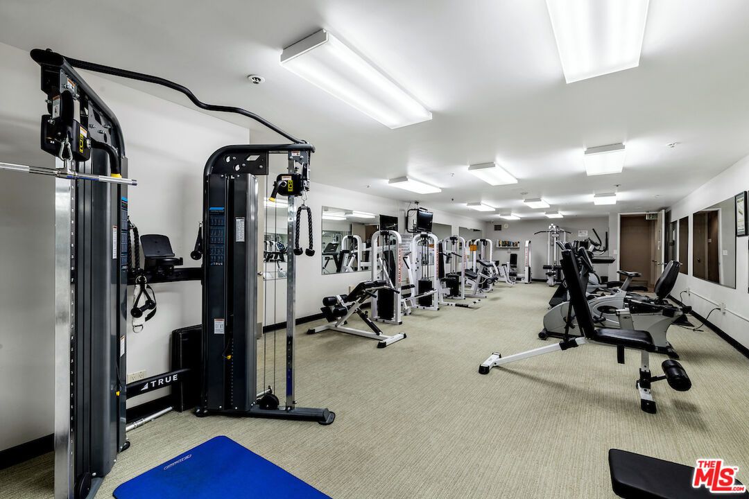 Fitness Equipment, Gym, Interior
