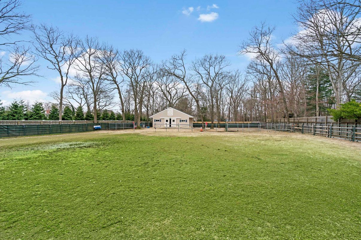 Backyard, Detached Garage, Exterior