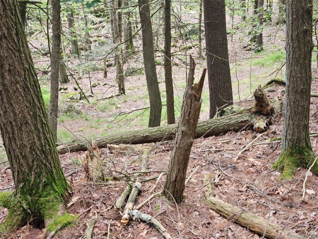 DE Listing image placeholder