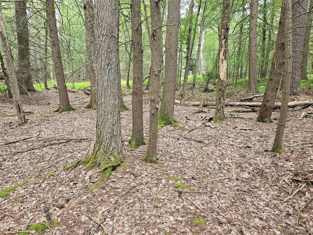 DE Listing image placeholder