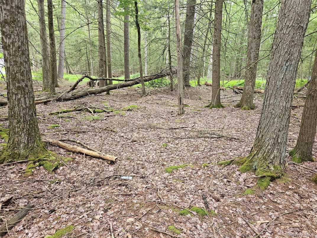 DE Listing image placeholder