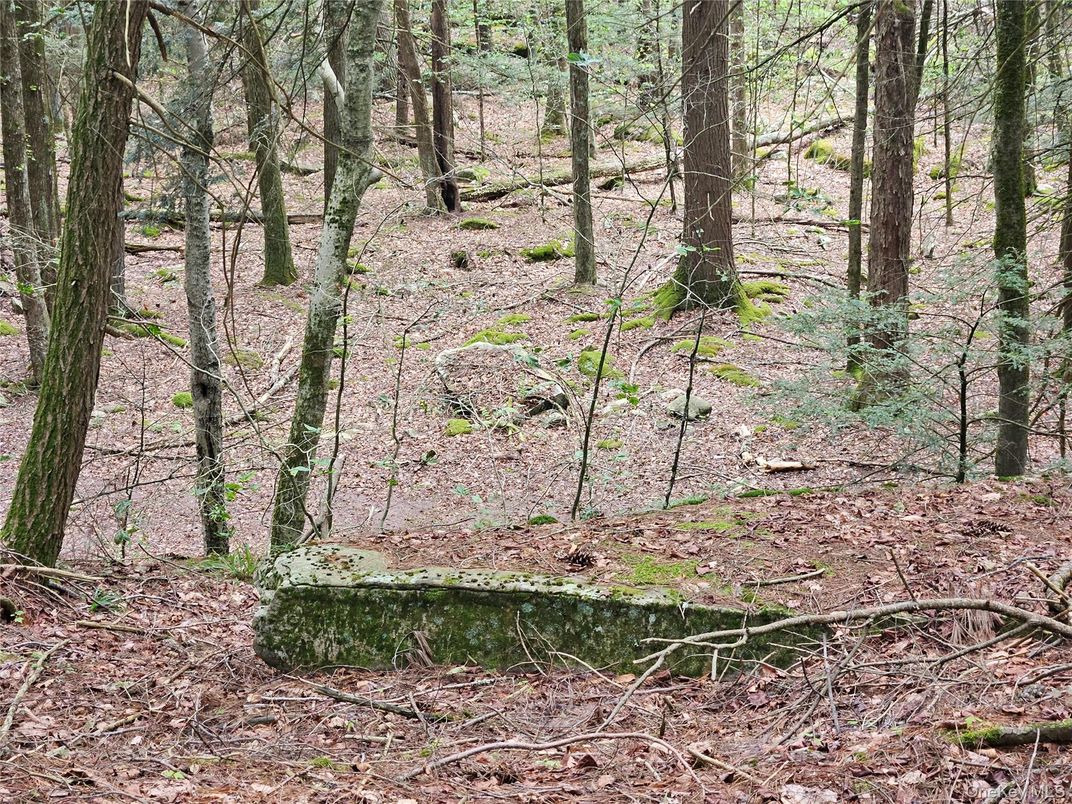 DE Listing image placeholder