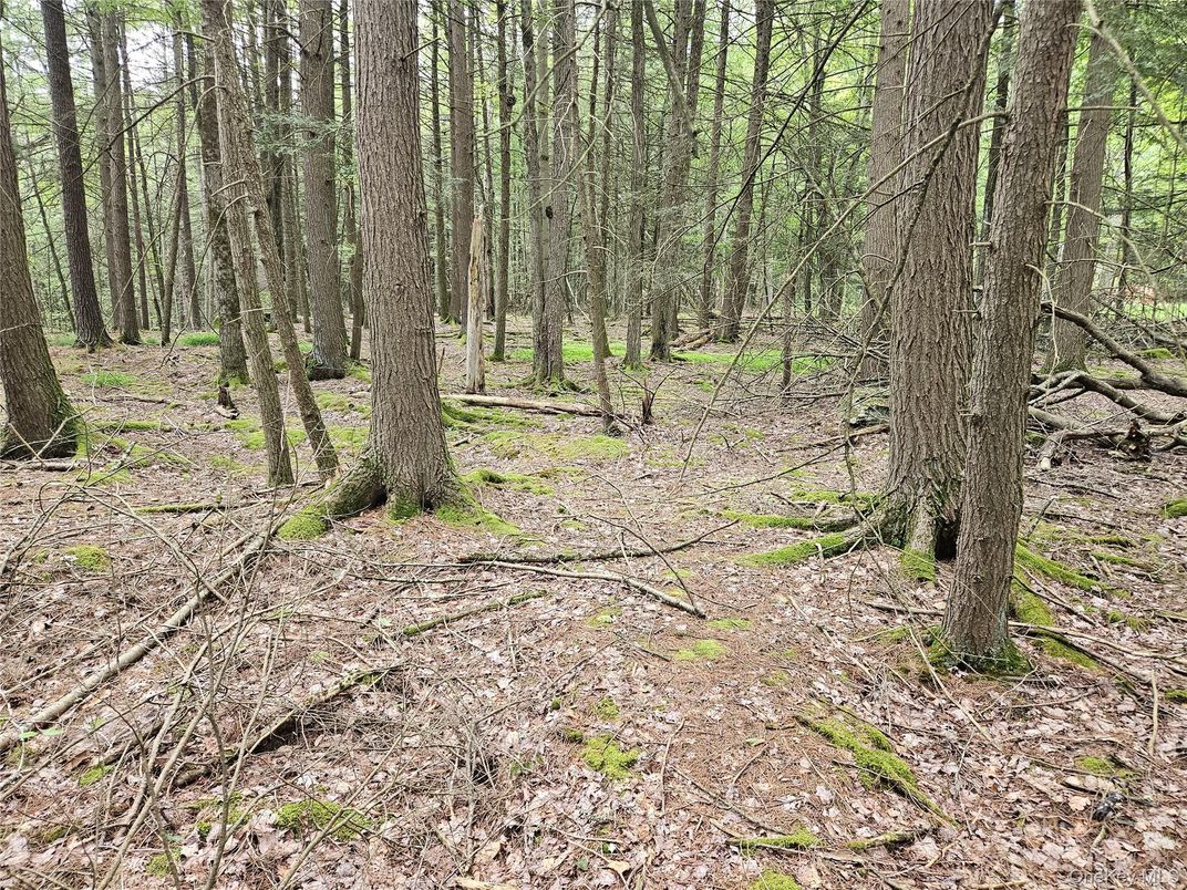 DE Listing image placeholder