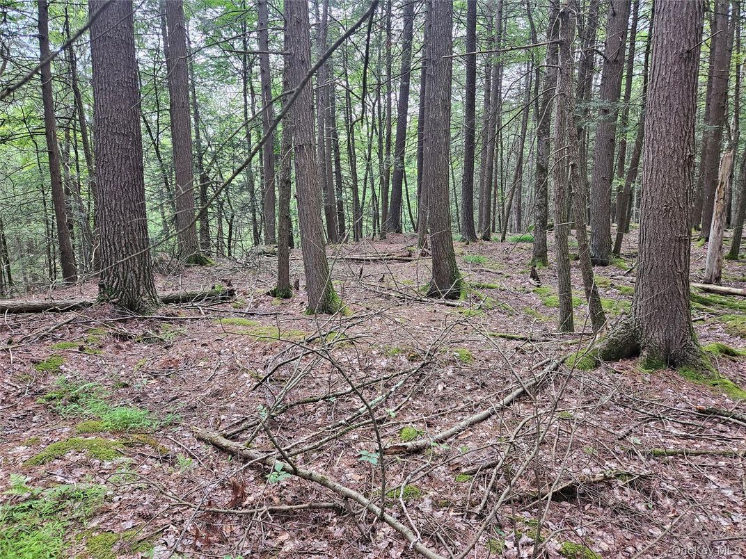 DE Listing image placeholder