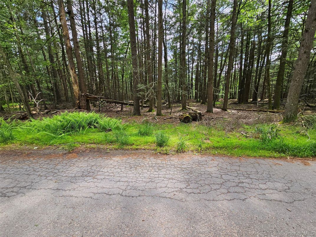 DE Listing image placeholder