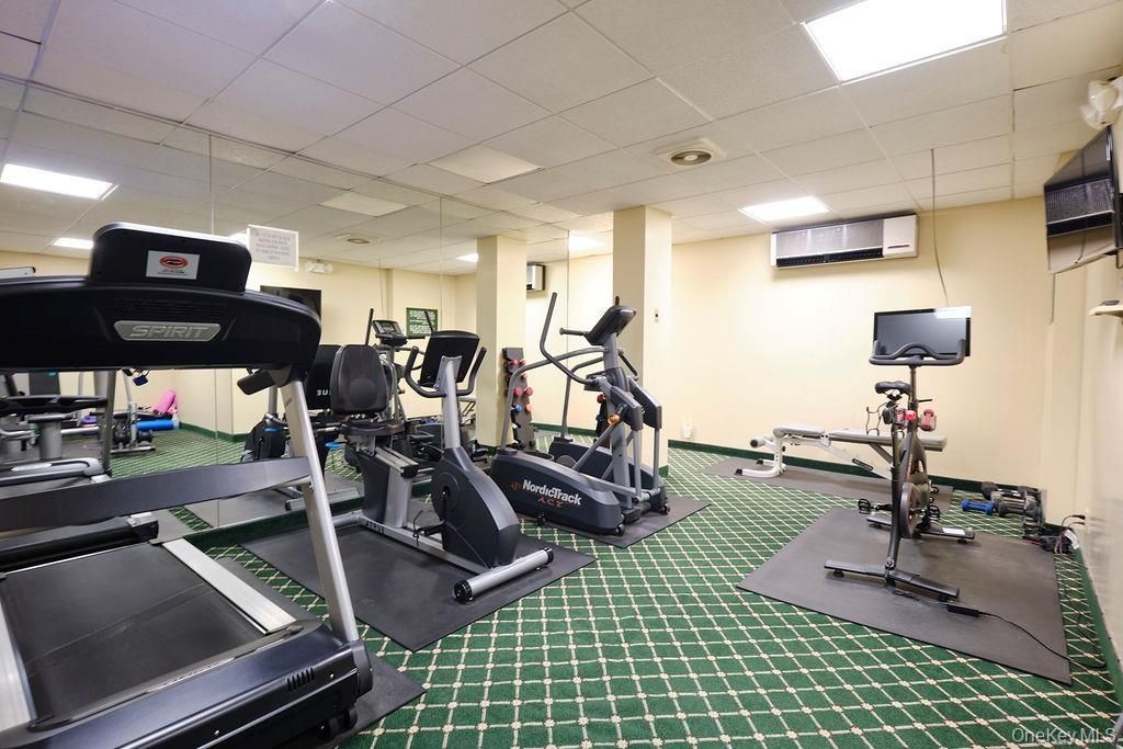Fitness Equipment, Interior, Recessed Lighting