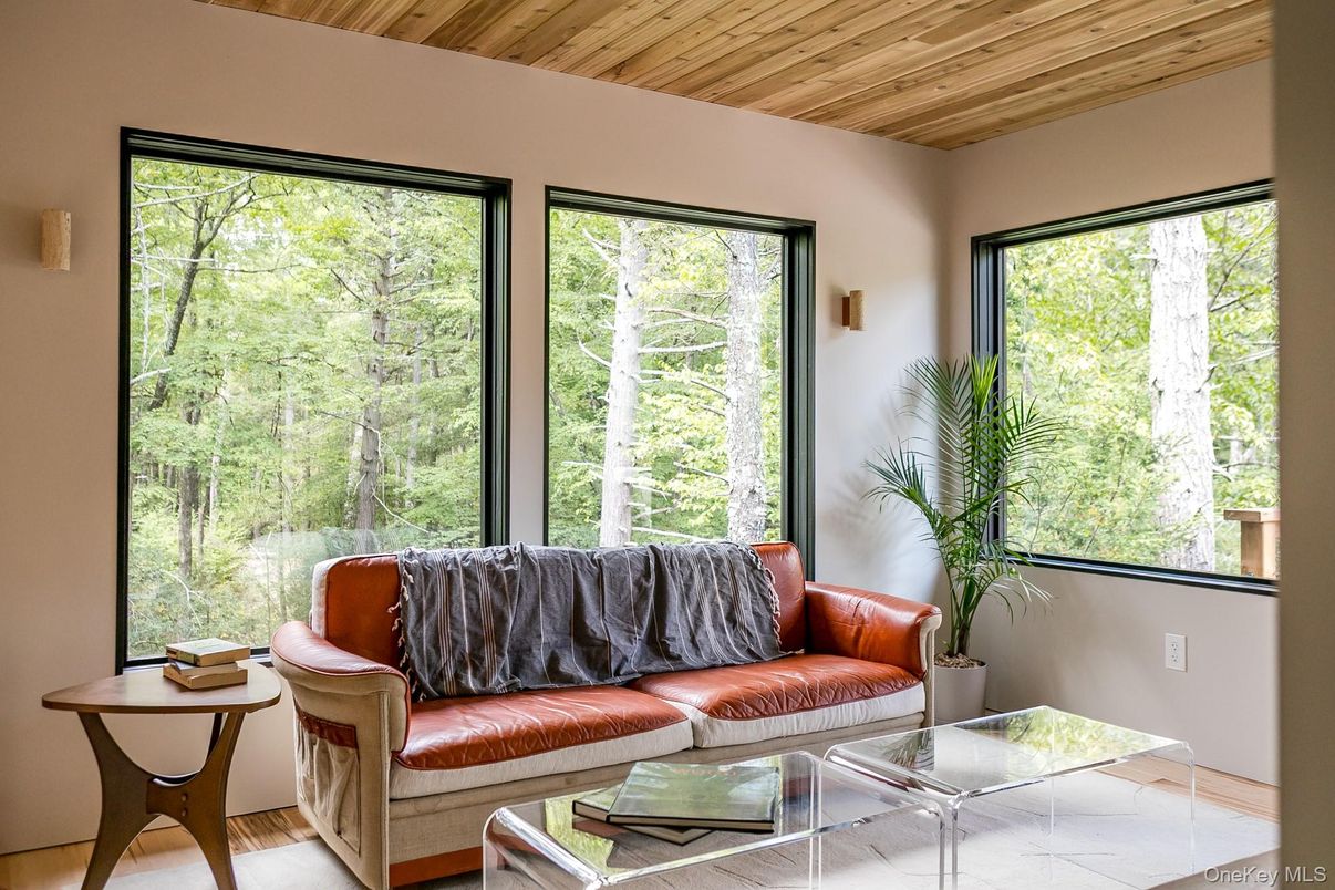 Interior, Living room, Wooden Ceilings