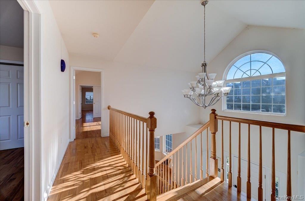 Chandelier, Interior, Wood Texture Flooring