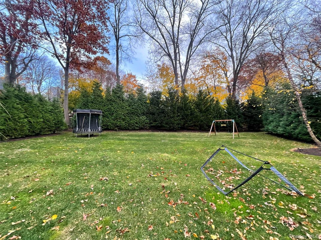 Backyard, Exterior, Playground