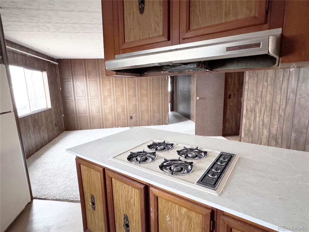 Interior, Kitchen, Wooden Walls