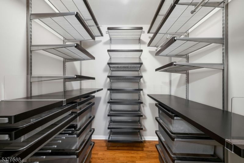 Interior, Walk-in Closets, Wood Texture Flooring