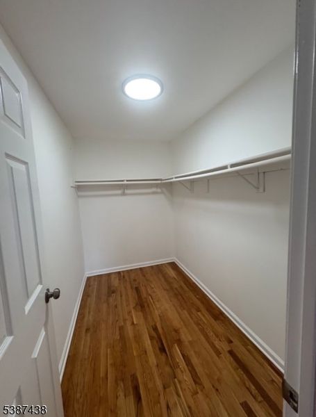 Interior, Recessed Lighting, Walk-in Closets, Wood Texture Flooring