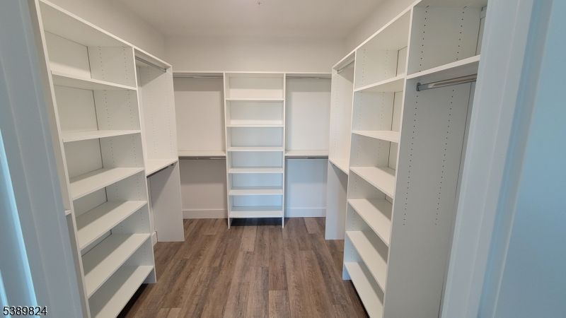 Interior, Recessed Lighting, Walk-in Closets, Wood Texture Flooring