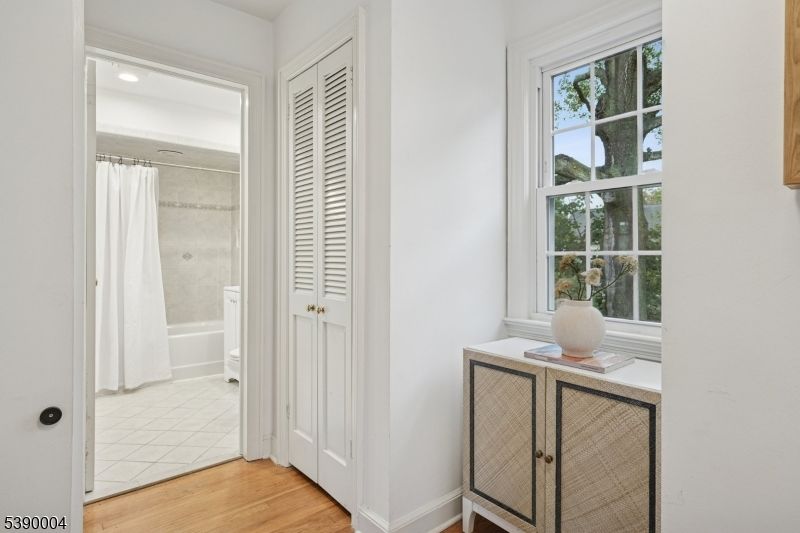 Bathroom, Interior, Recessed Lighting, Wood Texture Flooring