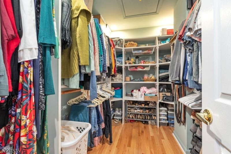 Interior, Walk-in Closets, Wood Texture Flooring