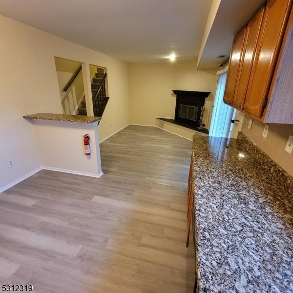 Empty room, Fireplace, Interior, Recessed Lighting, Wood Texture Flooring