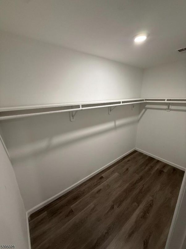 Interior, Recessed Lighting, Walk-in Closets, Wood Texture Flooring