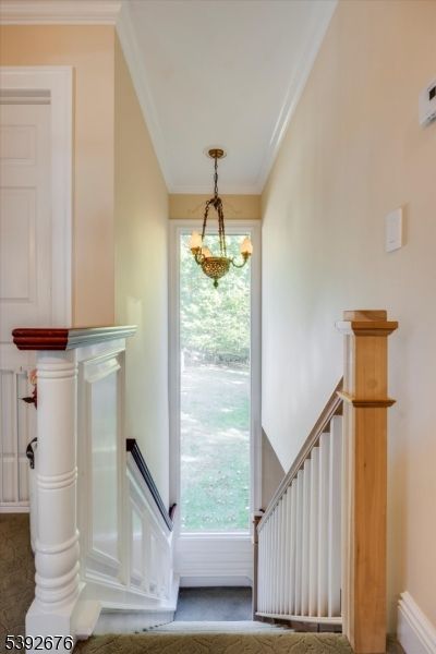 Interior, Pendant Lights
