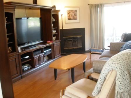 Fireplace, Interior, Living room, Wood Texture Flooring