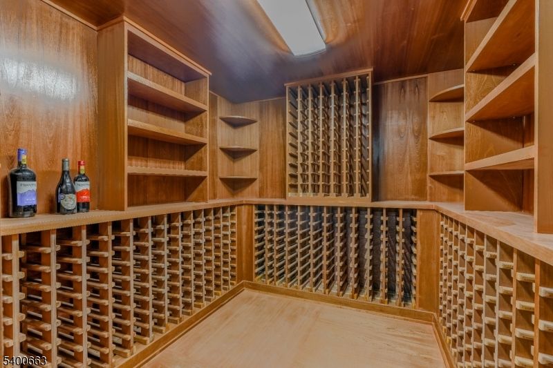 Interior, Wine Storage, Wood Texture Flooring