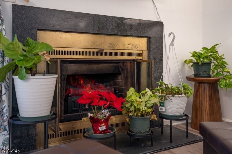 Fireplace, Interior, Wood Texture Flooring