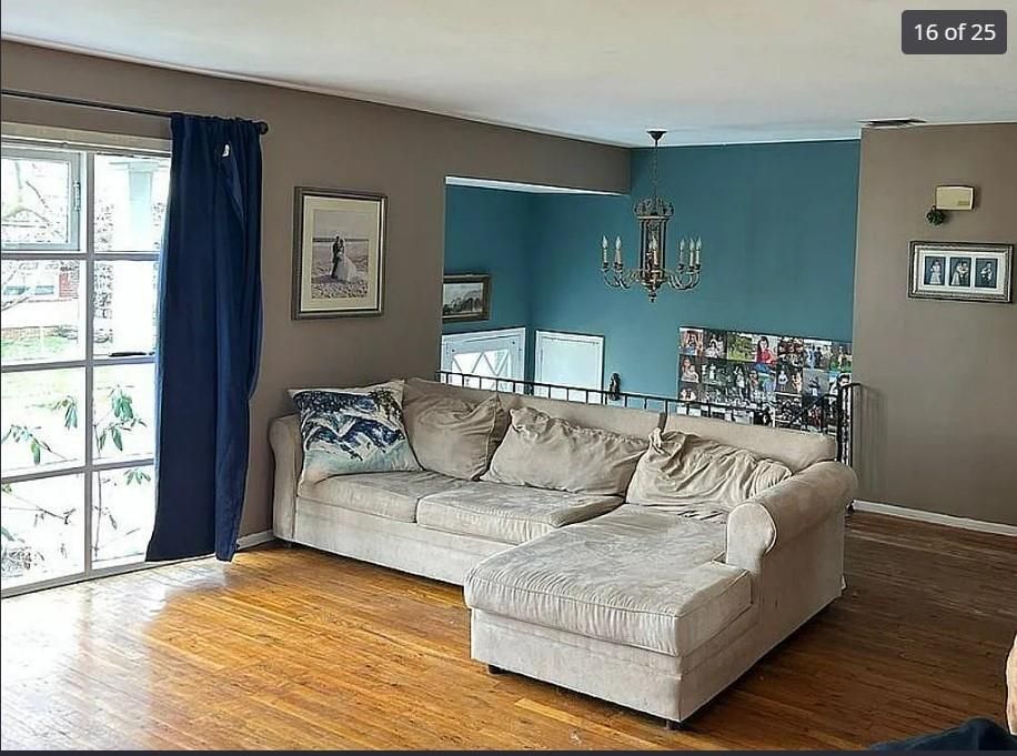 Chandelier, Interior, Wood Texture Flooring