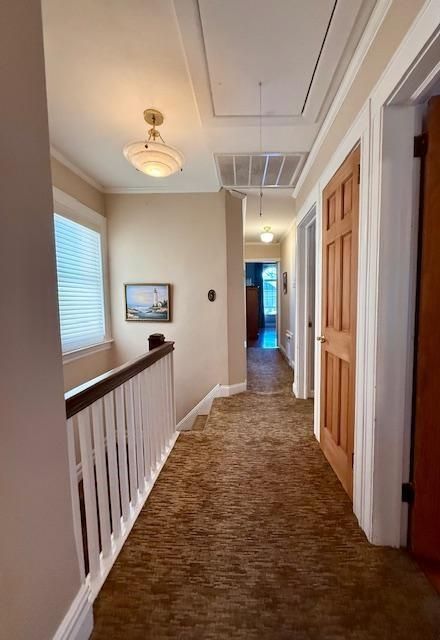 Interior, Pendant Lights