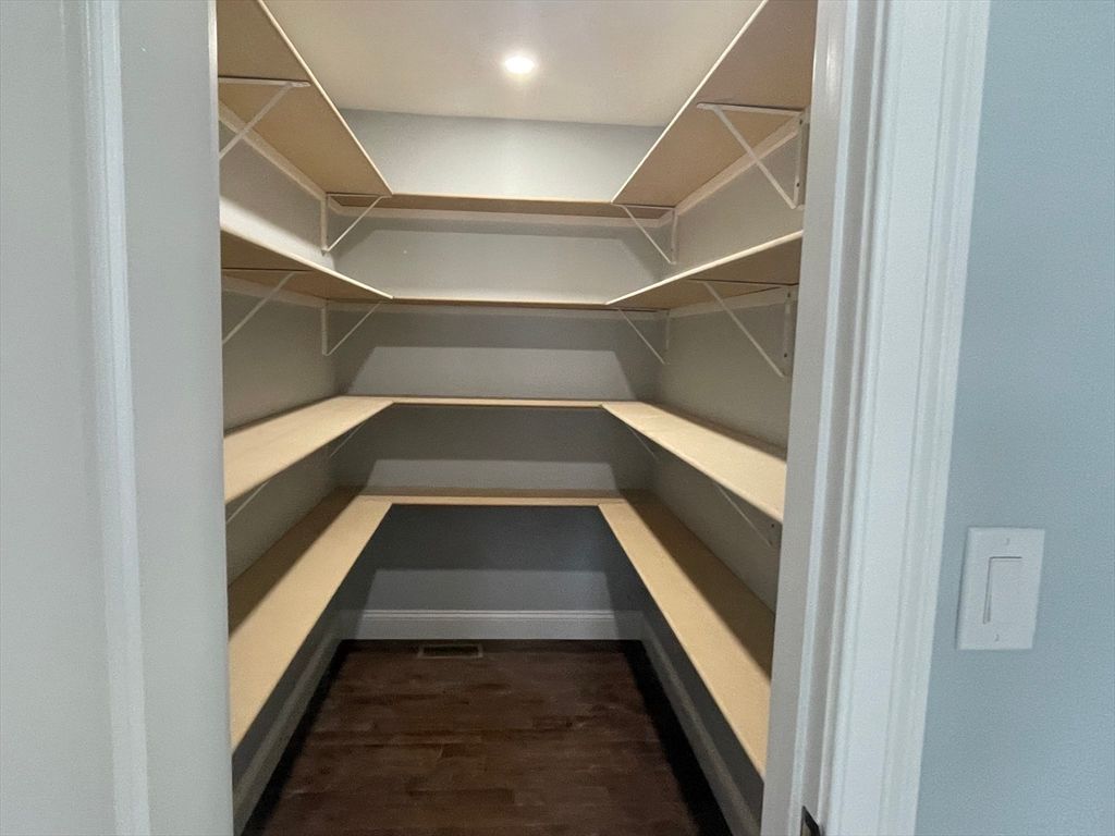 Interior, Recessed Lighting, Walk-in Closets, Wood Texture Flooring