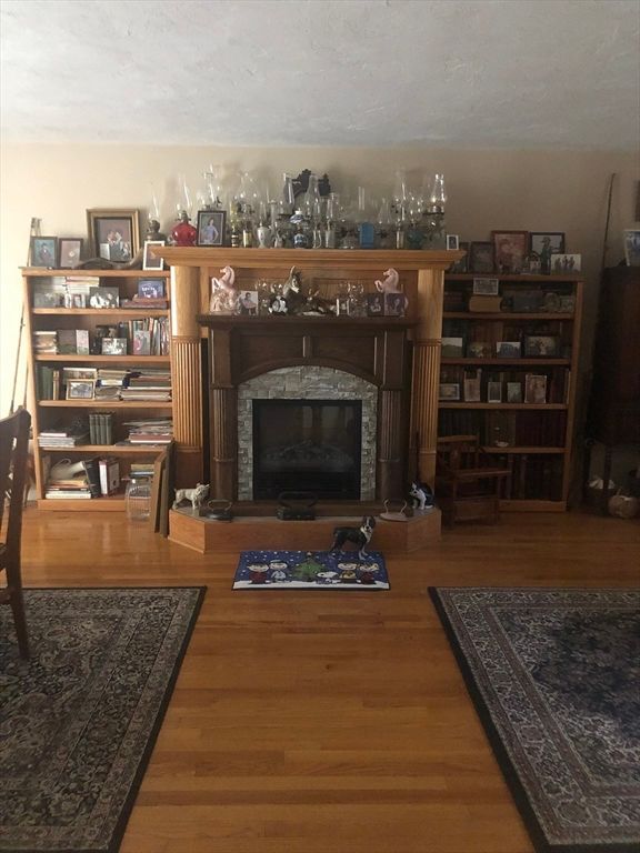 Fireplace, Interior, Wood Texture Flooring