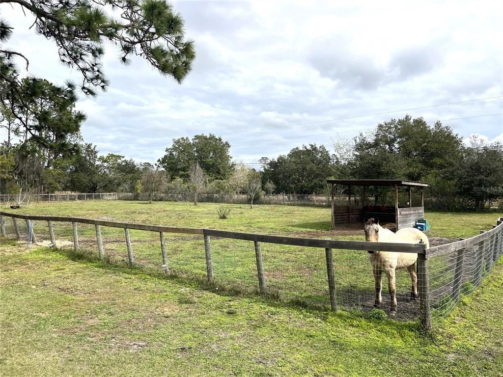 Backyard, Exterior, Playground