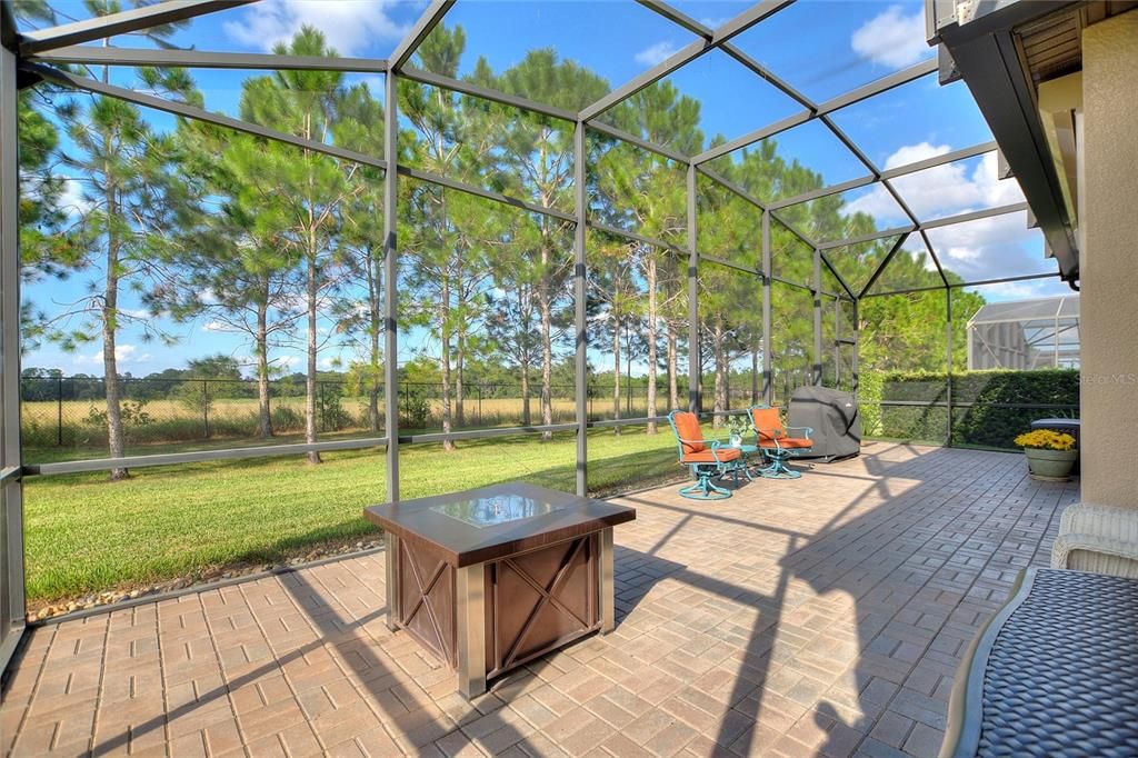 Glass Ceilings, Interior, Sun Room