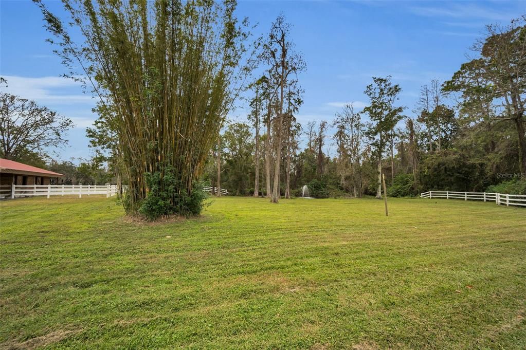 Backyard, Exterior