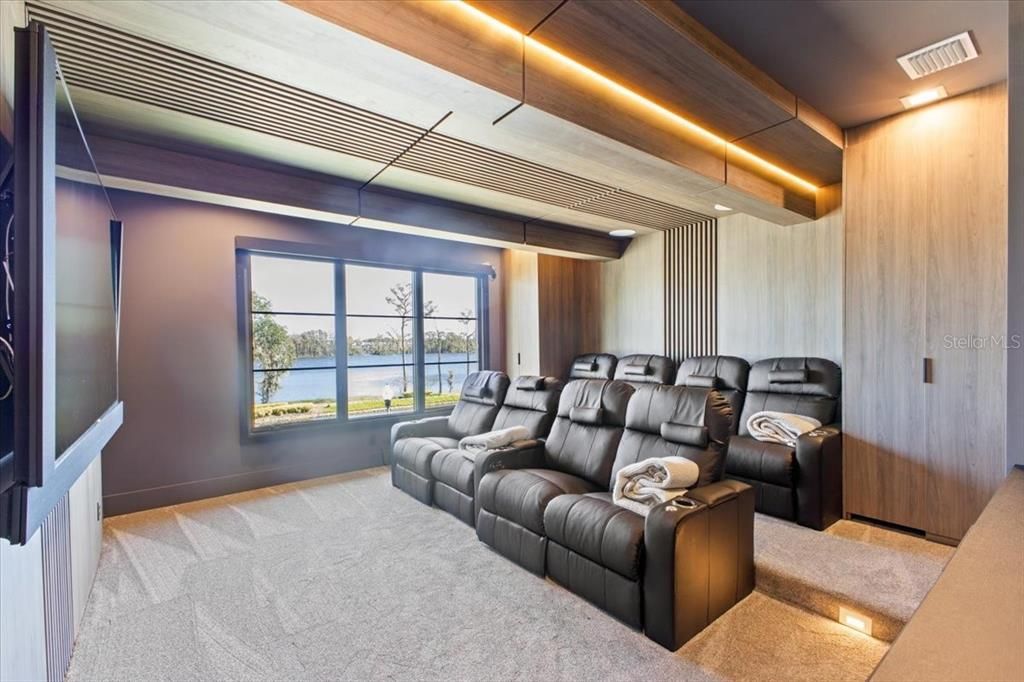 Home Theatre Room, Interior, Theatre Room, Water